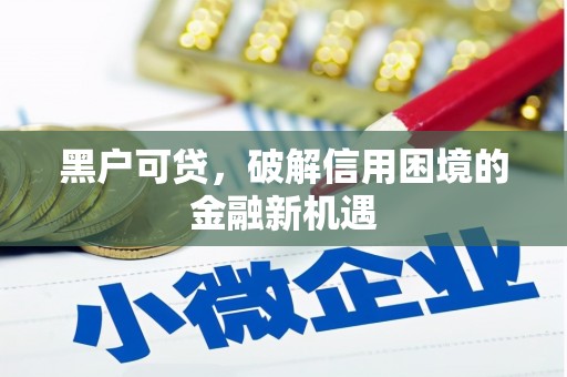 宝应黑户可贷，破解信用困境的金融新机遇