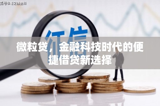 宝应微粒贷，金融科技时代的便捷借贷新选择