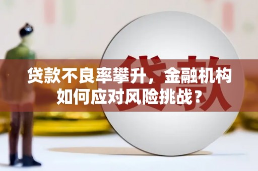 宝应贷款不良率攀升，金融机构如何应对风险挑战？