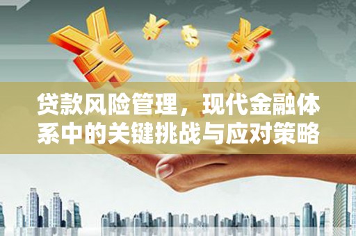 宝应贷款风险管理，现代金融体系中的关键挑战与应对策略