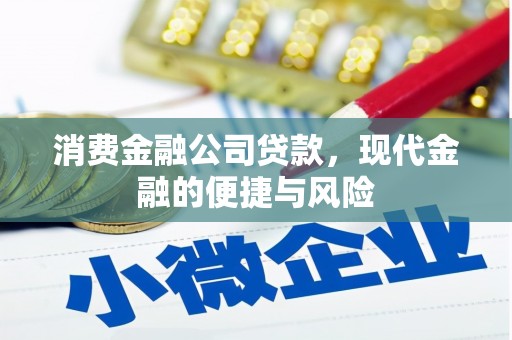 宝应消费金融公司贷款，现代金融的便捷与风险