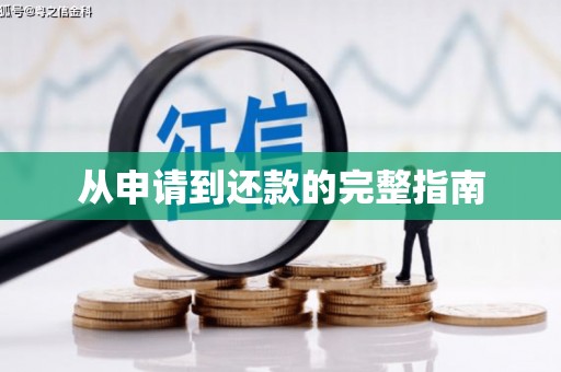 宝应从申请到还款的完整指南