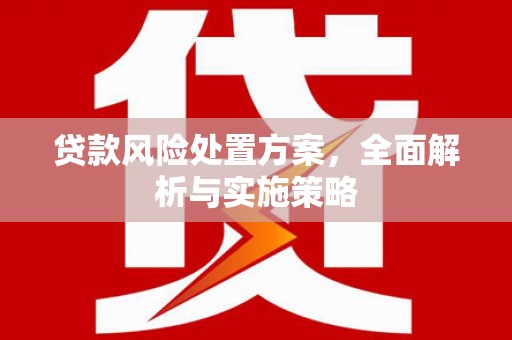 宝应贷款风险处置方案，全面解析与实施策略